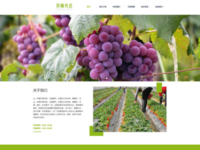 鞍山生态采摘园建站园艺种植网站制作